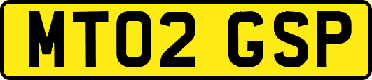 MT02GSP