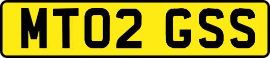 MT02GSS