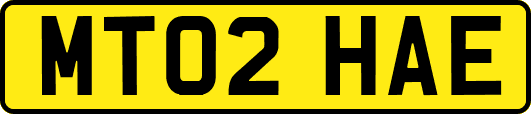 MT02HAE