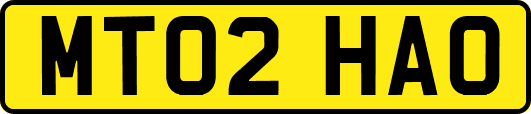 MT02HAO