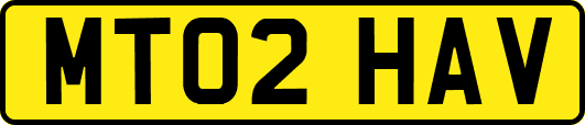 MT02HAV