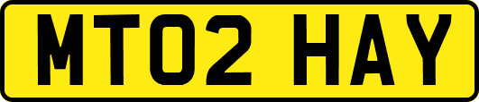 MT02HAY