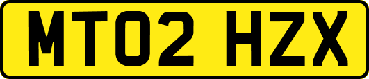 MT02HZX