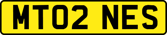 MT02NES