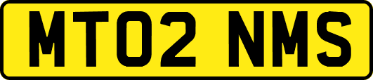 MT02NMS