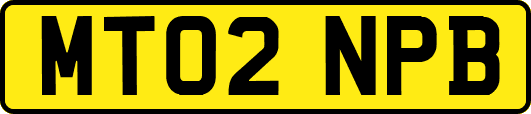 MT02NPB