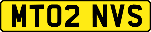 MT02NVS