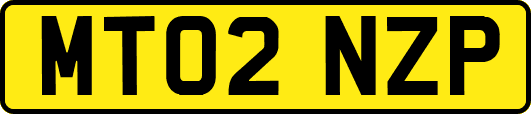 MT02NZP