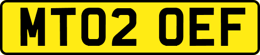 MT02OEF