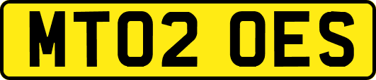MT02OES