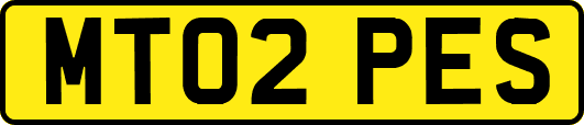 MT02PES