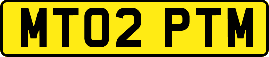 MT02PTM