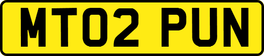 MT02PUN