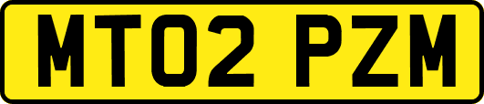 MT02PZM