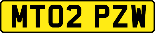MT02PZW