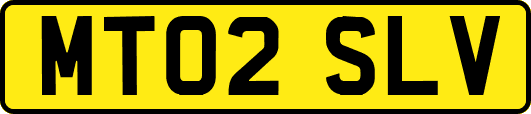 MT02SLV