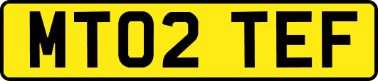 MT02TEF