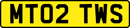 MT02TWS