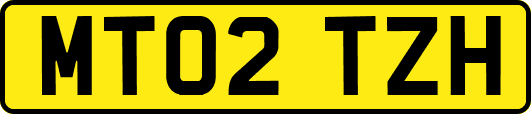 MT02TZH