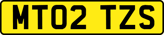 MT02TZS