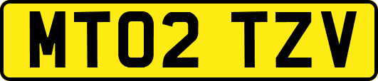 MT02TZV