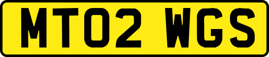 MT02WGS