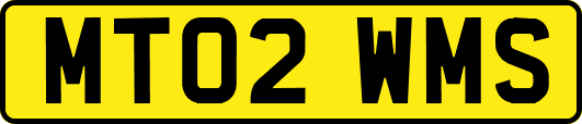 MT02WMS