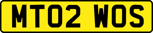 MT02WOS