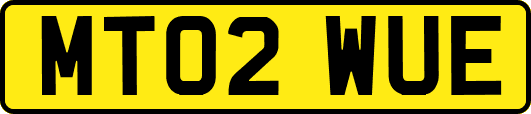 MT02WUE