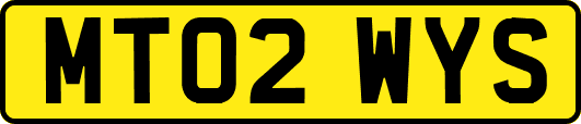 MT02WYS