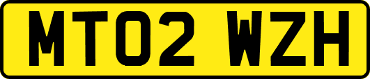 MT02WZH