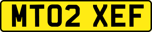 MT02XEF