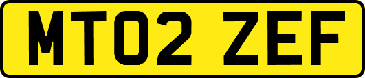 MT02ZEF