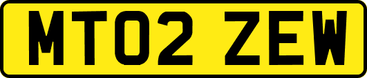 MT02ZEW