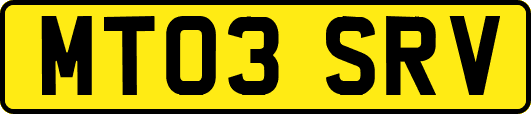 MT03SRV
