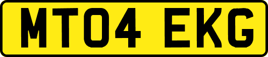 MT04EKG