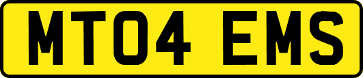 MT04EMS