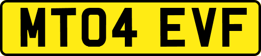 MT04EVF