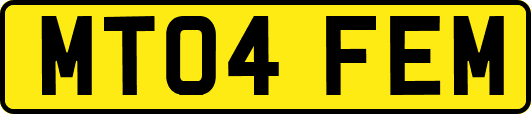 MT04FEM