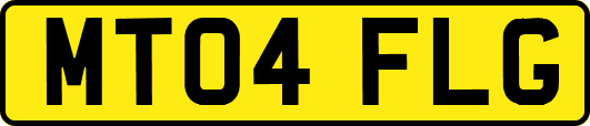 MT04FLG