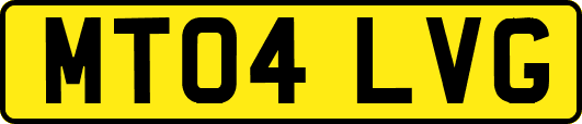 MT04LVG