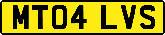 MT04LVS