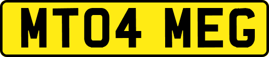 MT04MEG
