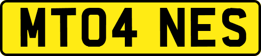 MT04NES