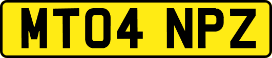 MT04NPZ