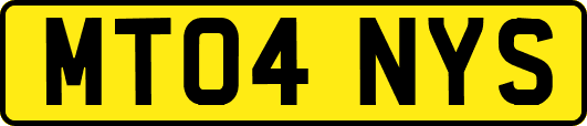 MT04NYS