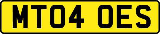MT04OES