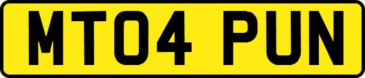 MT04PUN