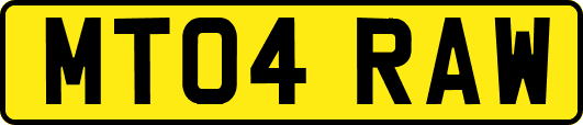 MT04RAW