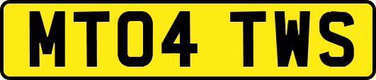 MT04TWS